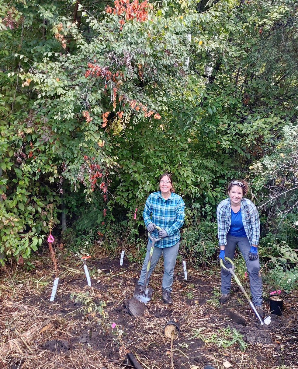 Transforming Landscapes Wildlife Habitat Restoration Success Stories