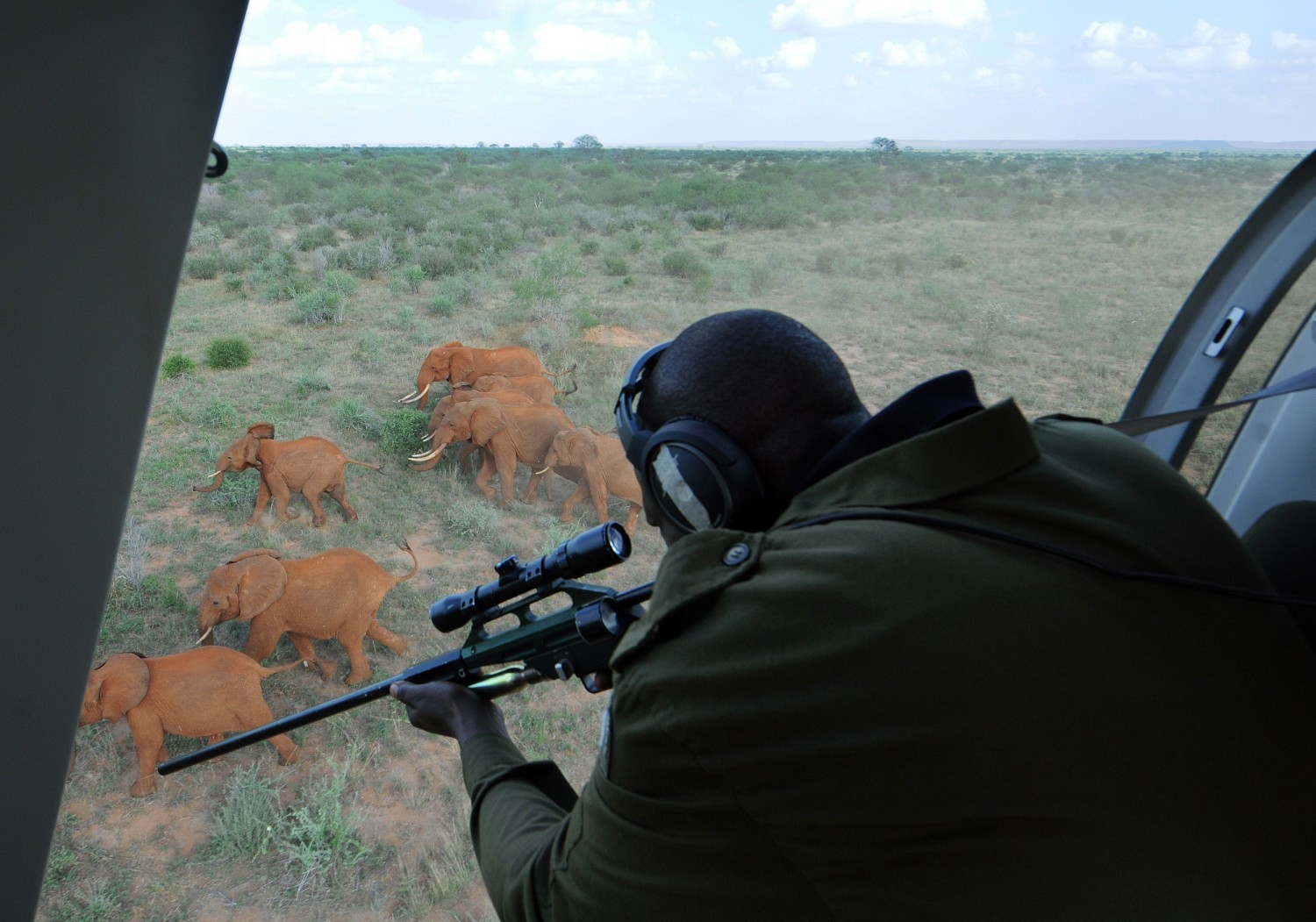 Combating Wildlife Poaching Government