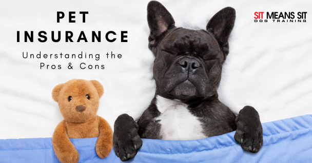 Compare Pet Insurance Coverage Understand Your Options and Choose Wisely