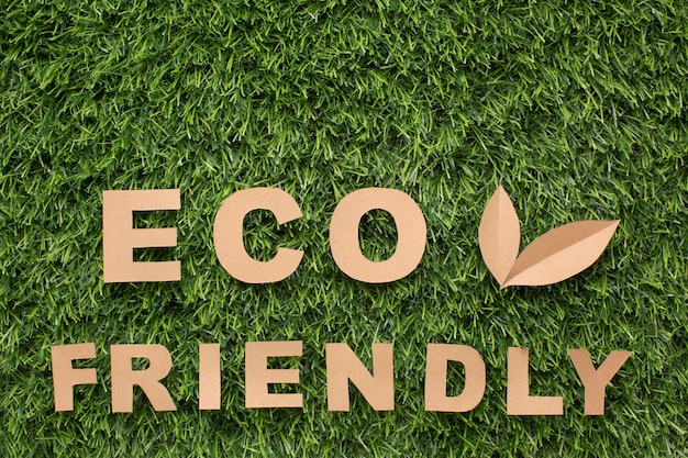 Practical Eco-Friendly Living Day-to-Day Practices